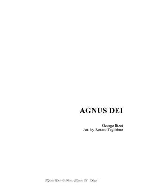 cover image of AGNUS DEI--Bizet--Arr. for SA Choir and Piano/Organ